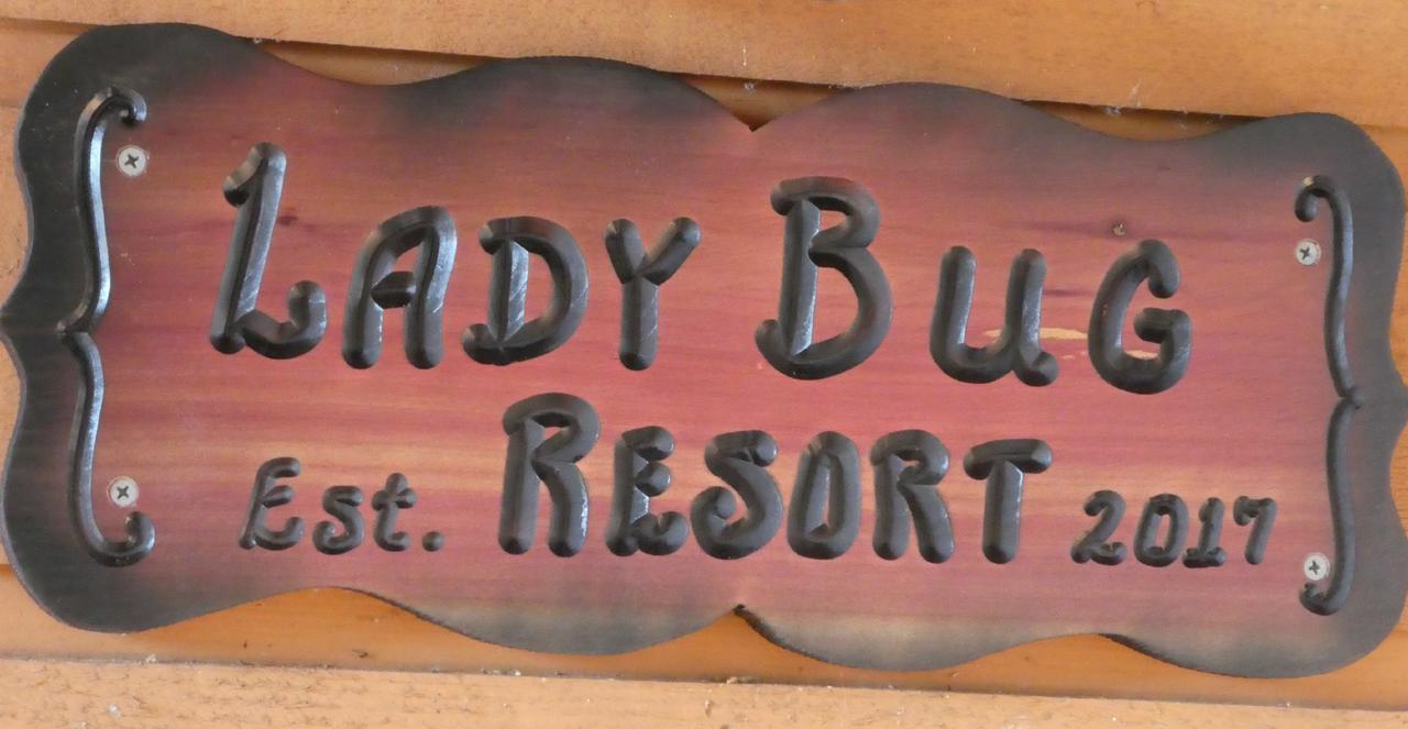 Ladybug Resort Romantic Cabin With Mountain Views, Game Room, Close To Dollywood Sevierville Bagian luar foto